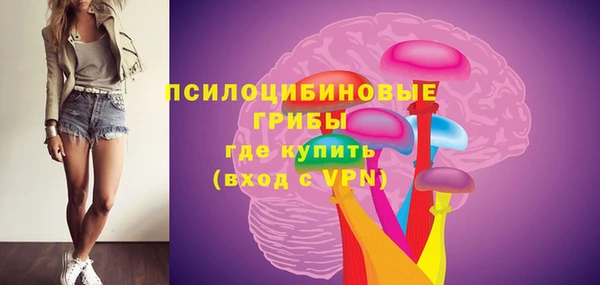 хмурый Абаза