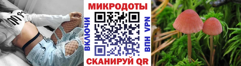 Псилоцибиновые грибы Psilocybe  ссылка на мегу tor  Отрадная 